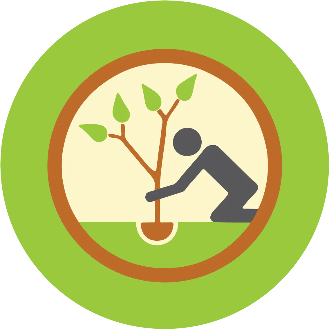 tree plantation